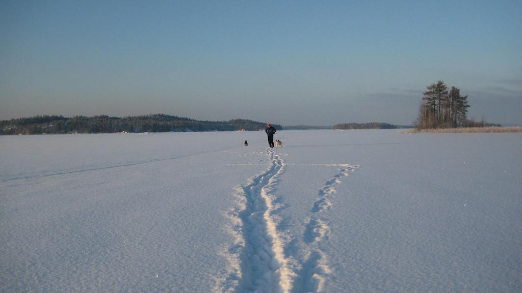 Nestorinranta Resort Lintusalo Zewnętrze zdjęcie