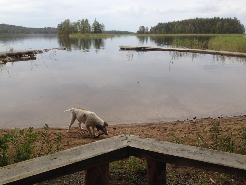 Nestorinranta Resort Lintusalo Zewnętrze zdjęcie